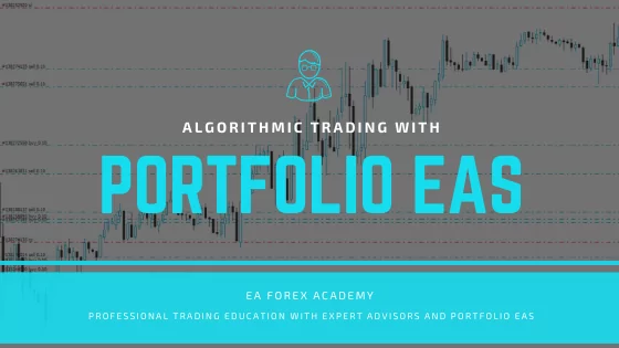 portfolio expert