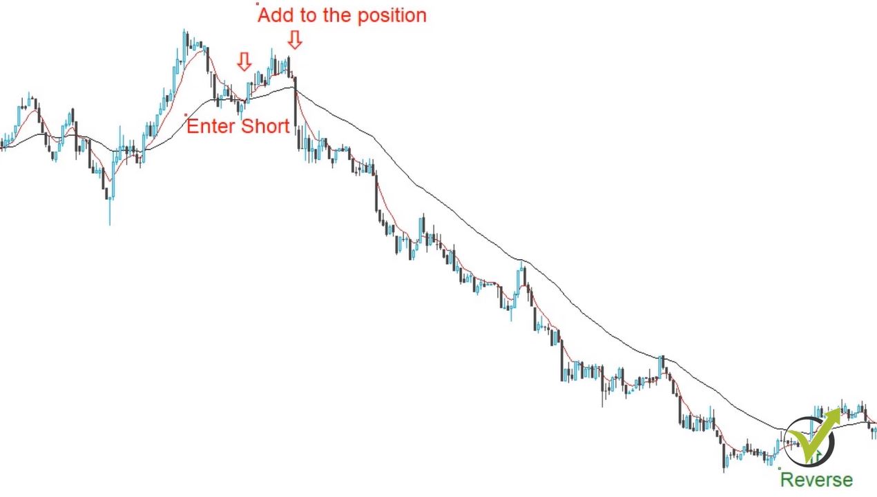 Forex expert advisors picture