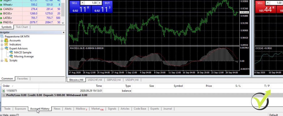 MetaTrader 4 terminal at Pepperstone broker