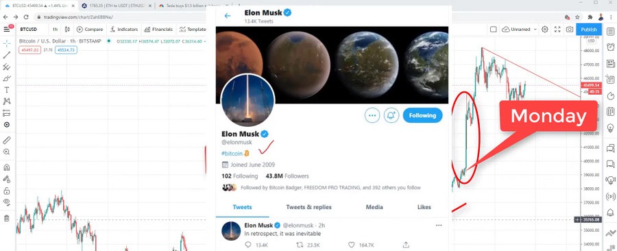 Elon Musk Twitter profile in January