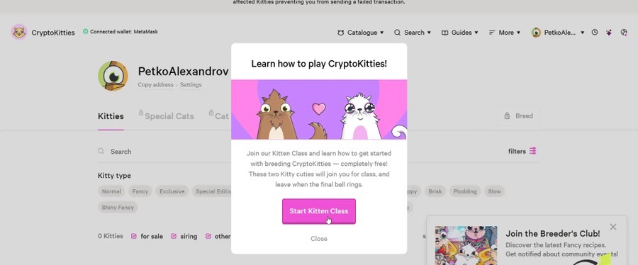 Start Kitten Class on CryptoKitties NFT platform