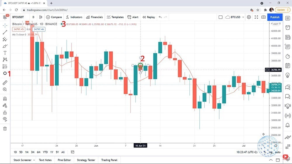 View the values of the candlestick in Trading View