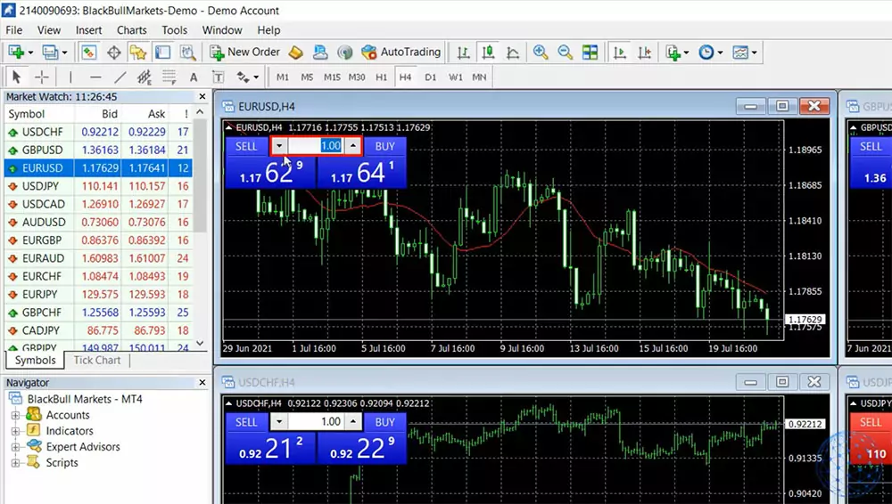 the Lot in MetaTrader 4